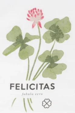 FELICITAS Shirt weiß mit Frontdruck