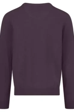 FYNCH HATTON V-Ausschnitt Pullover aubergine Casual Fit
