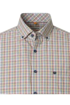 REDMOND Hemd terra kariert Comfort Fit Kurzarm