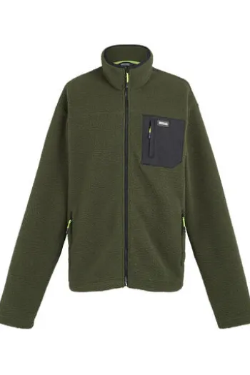 REGATTA Fleece Jacke Frankie Borg grün